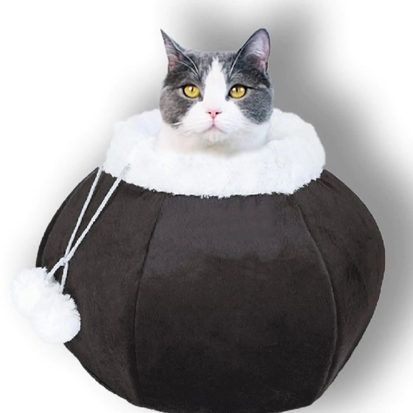 Cat Bed Plush Round Cozy Bed with Removable Pillow Brown
