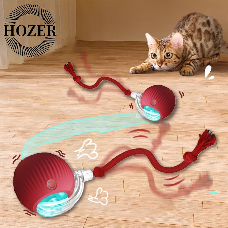Interactive Automatic Rolling Ball with Faux Tail