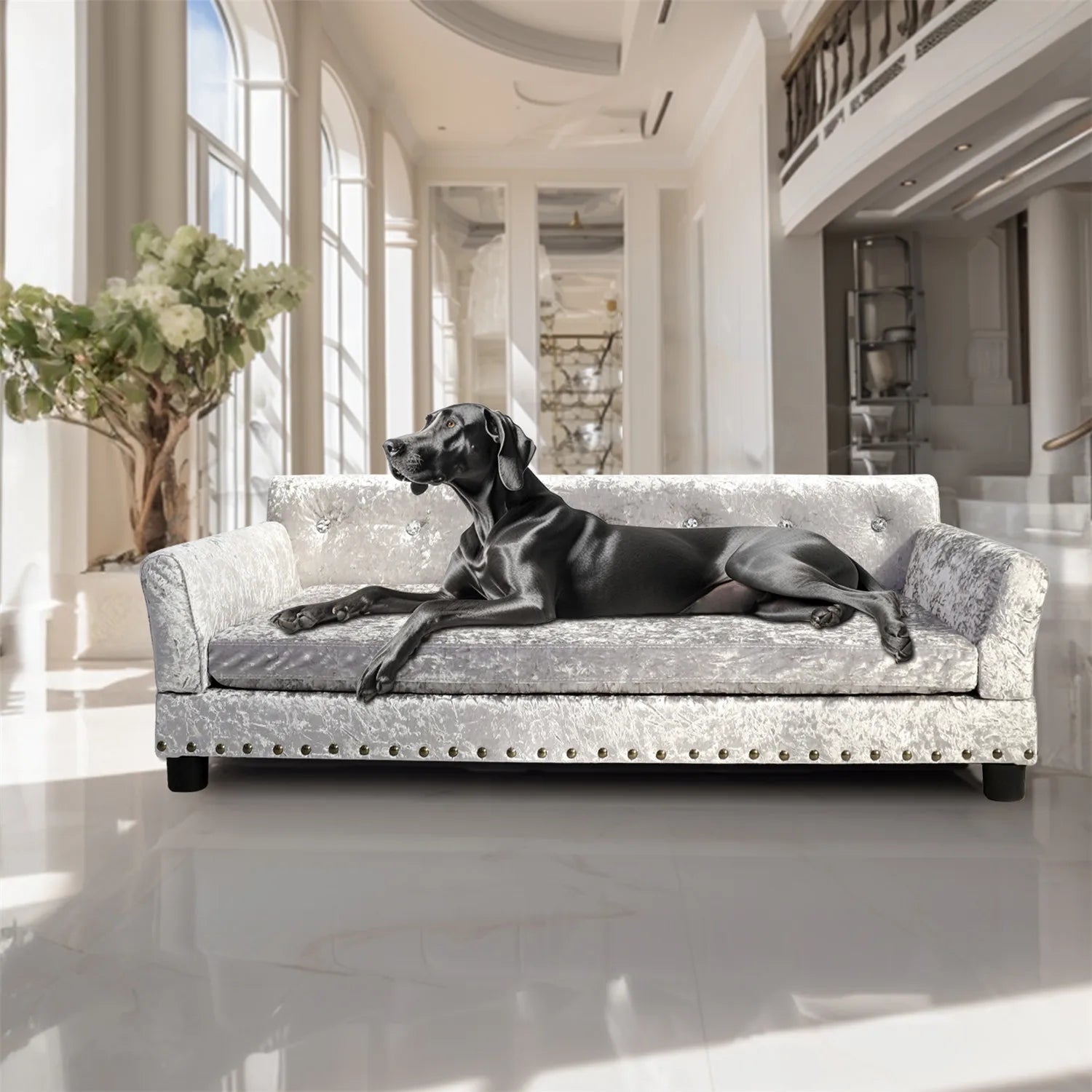 Pet Dog Sofa Bed (Zooky-Pets)