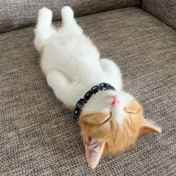 Sleepy Time