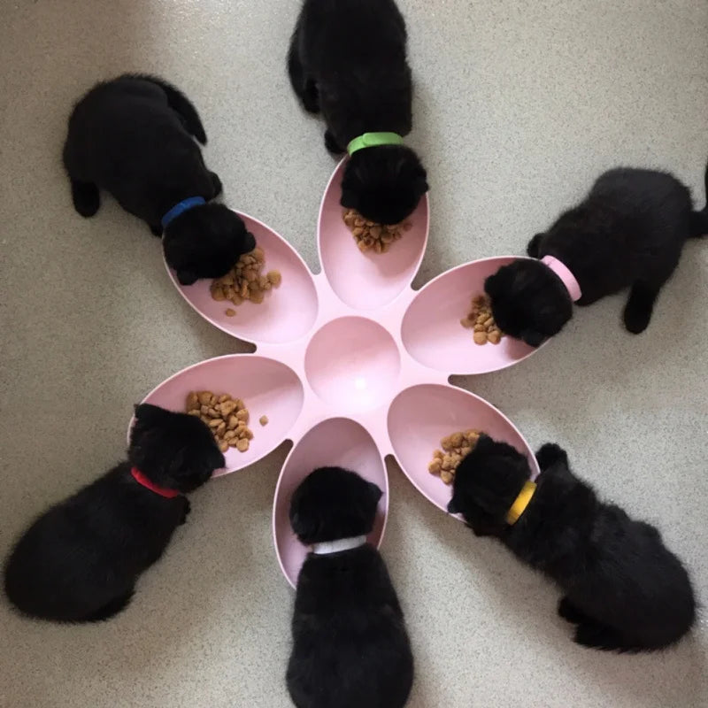 Pet Dog Petal Feeding Bowl