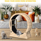 Cat Treadmill With Carpeted Runway (Zooky-Pets)