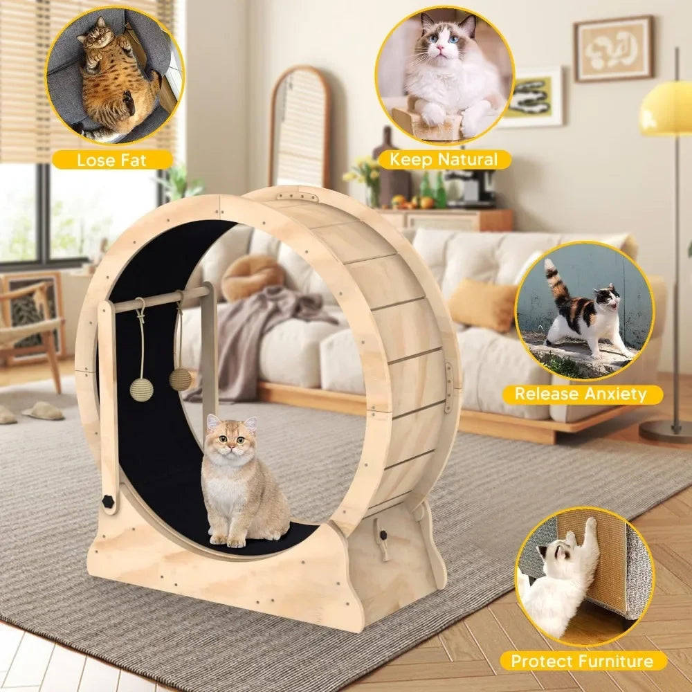Cat Treadmill With Carpeted Runway (Zooky-Pets)