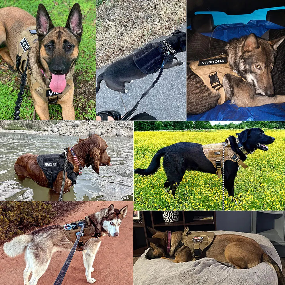 Large Dog Harness (Zooky-Pets)
